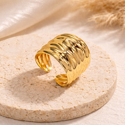 Anillo Duna