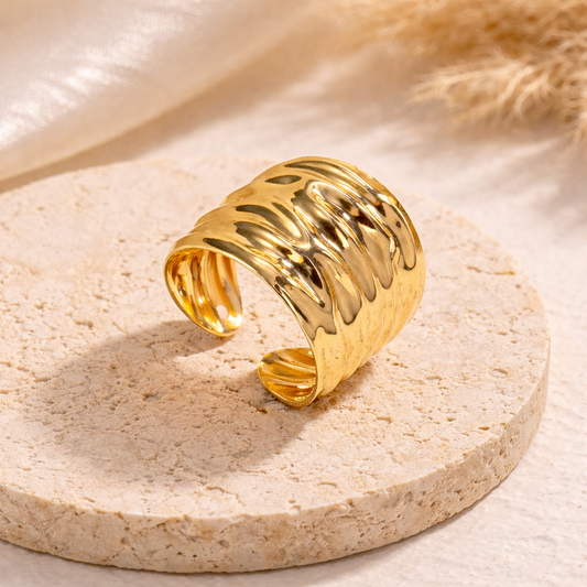 Anillo Duna