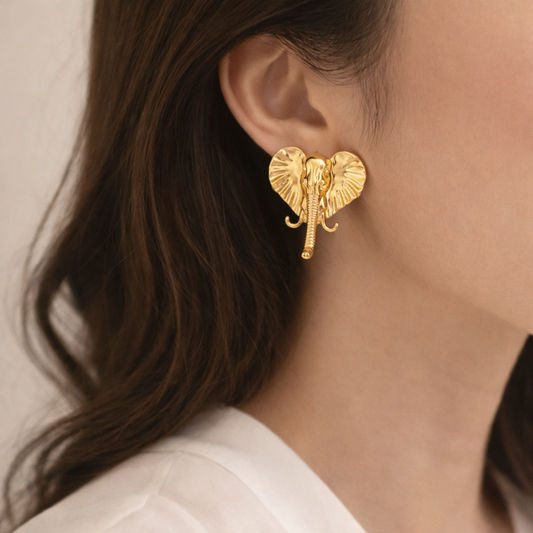 Aretes África