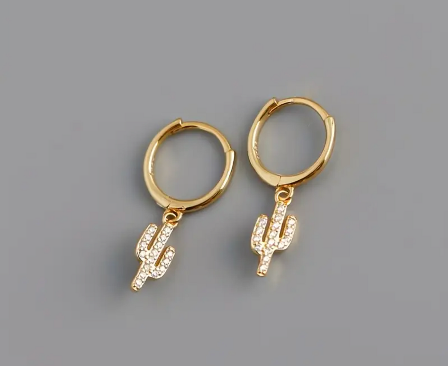 Aretes Cactus