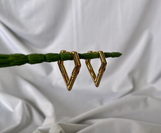 Aretes Autenticidad